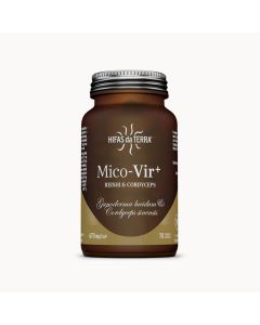 hifas-da-terra-mico-vir