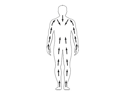 Diagram of the direction to skin brush