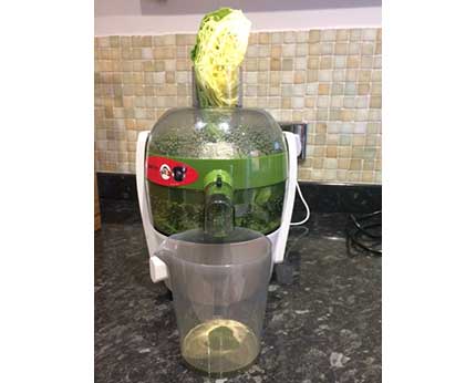 making cabbage juice