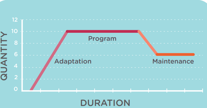  A graph illustrating the contrast between initial program and maintenance phases of BioPreparation Animal Formula F3+, with feeding quantity on the Y-axis and time on the X-axis.