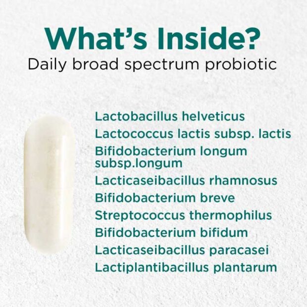 Cytoplan Acidophilus Plus Whats Inside