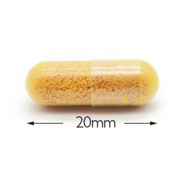 cytoplan-cell-active-curcumin-capsule