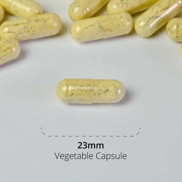 Good Health Naturally Active Life Capsule size