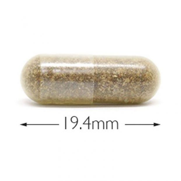 wholefood-zinc-capsule-size