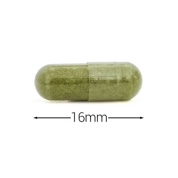 Cytoplan Wholefood Zinc Capsule