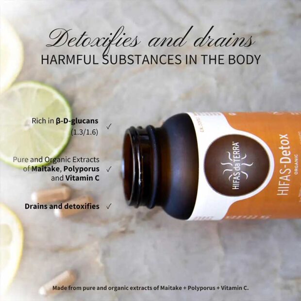 Hifas da Terra Detox Lifestyle