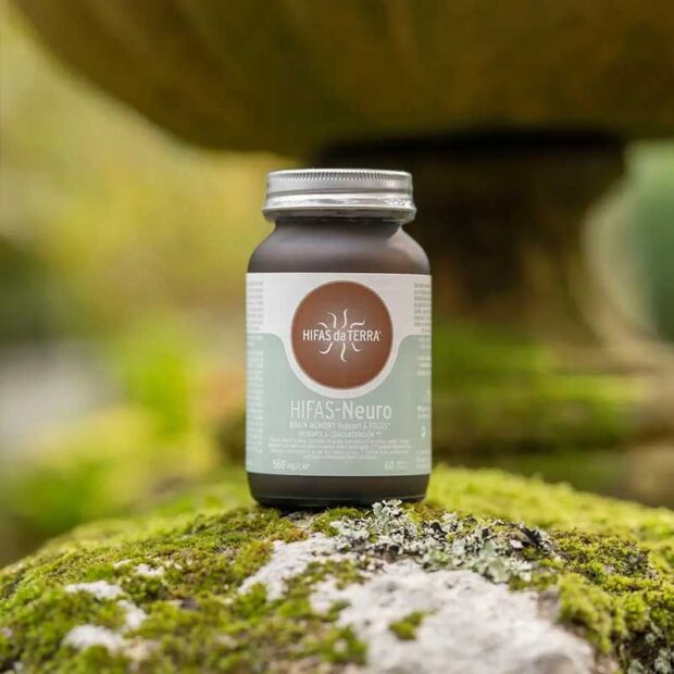 Hifas da Terra Hifas Neuro Lifestyle